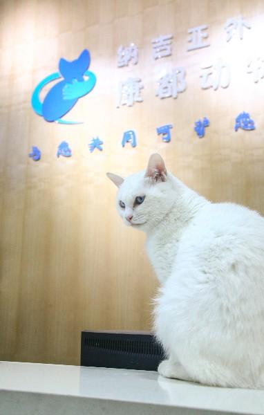 北京纳吉亚动物医院图片